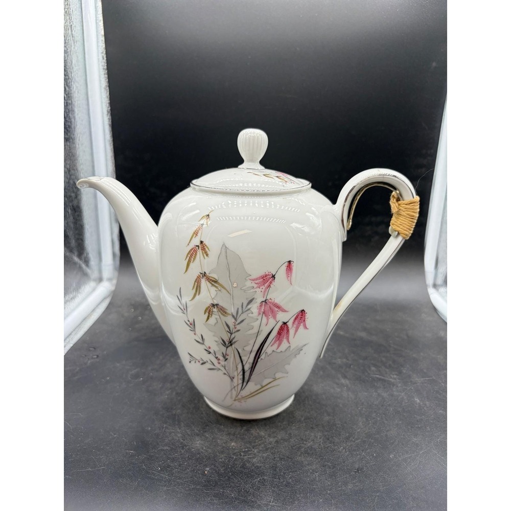 Royal Duchess‎ Bavaria Germany Fine China Teapot Floral Bamboo Pink Silver Trim